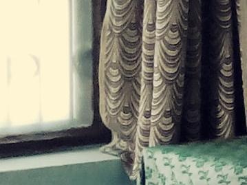 Guest house Om Varanasi